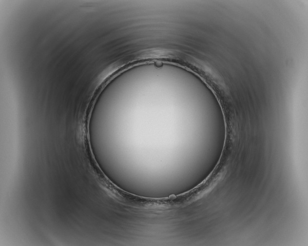 X0000116381073200912021515