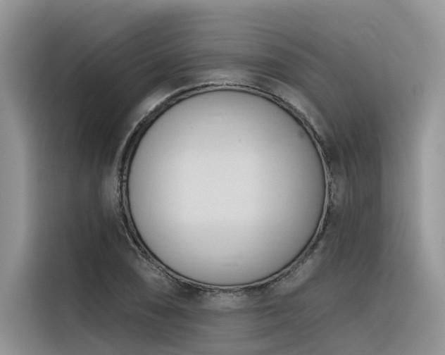 X0000116381074200912021515