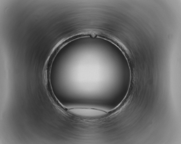 X0000116381075200912021515