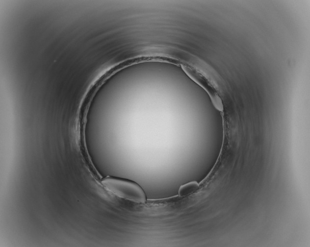 X0000116381076200912021515