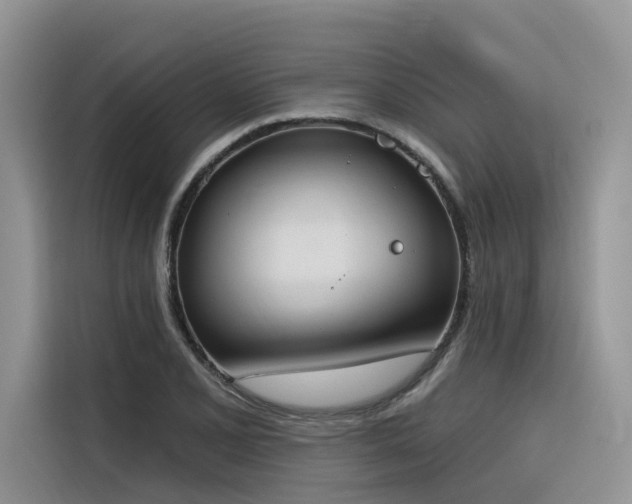 X0000116381077200912021515