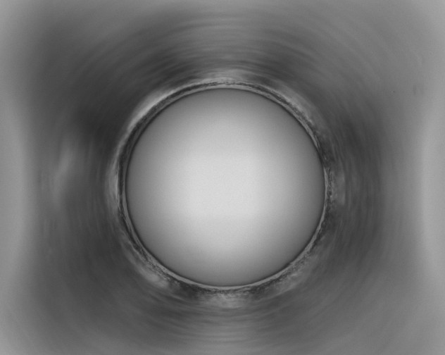 X0000116381078200912021515