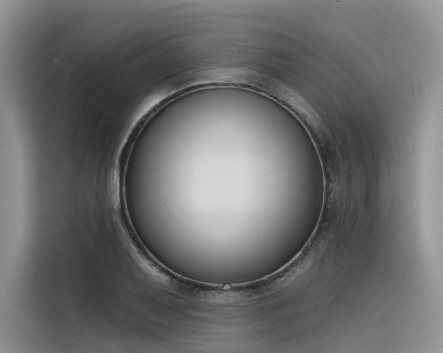 X0000116381079200912021515