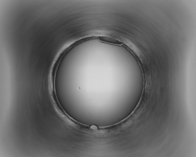 X0000116381080200912021515