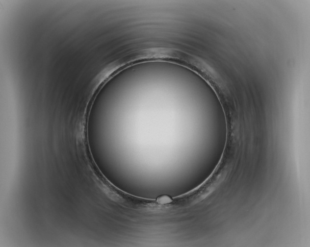 X0000116381081200912021515