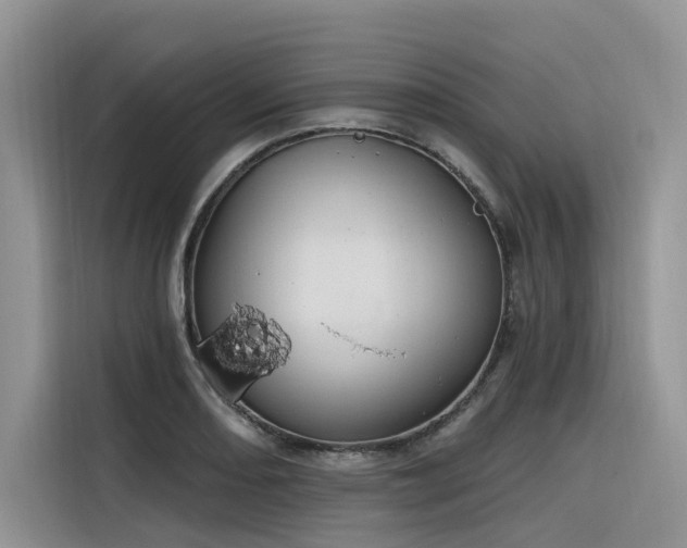X0000116381082200912021515