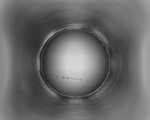 X0000116381083200912021515