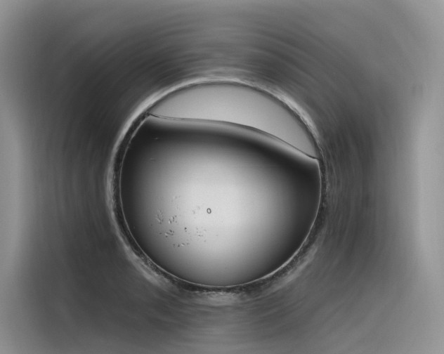 X0000116381085200912021515