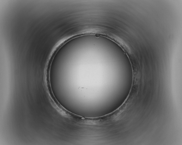X0000116381086200912021515