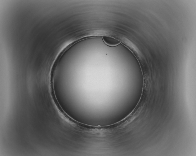 X0000116381087200912021515