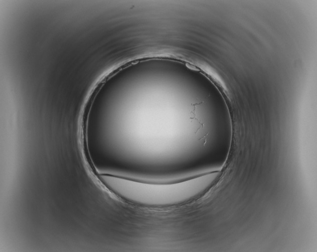 X0000116381088200912021515