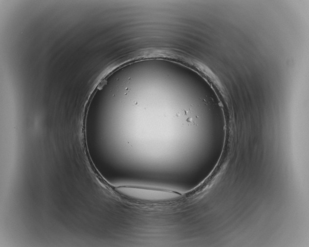 X0000116381089200912021515