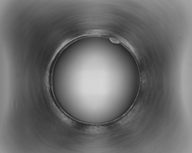 X0000116381091200912021515