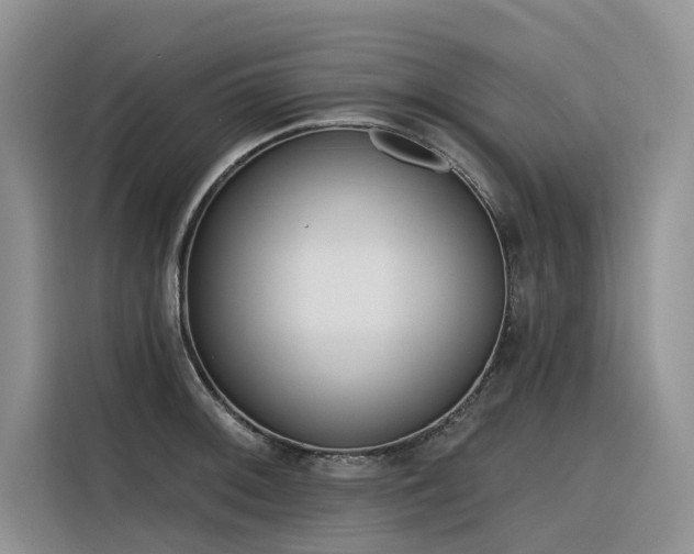 X0000116381092200912021515