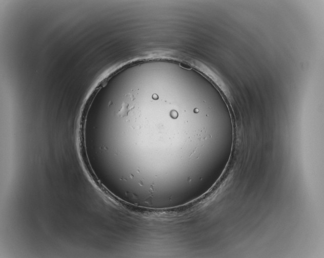 X0000116381093200912021515