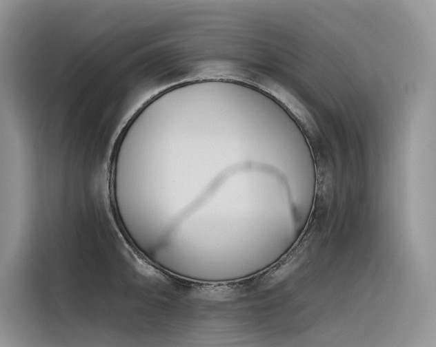 X0000116381094200912021515