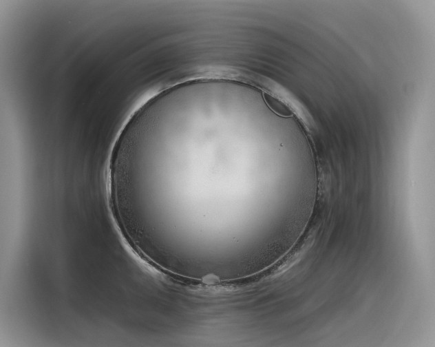 X0000116381095200912021515
