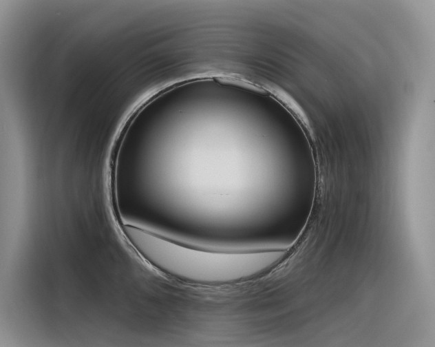 X0000116381096200912021515