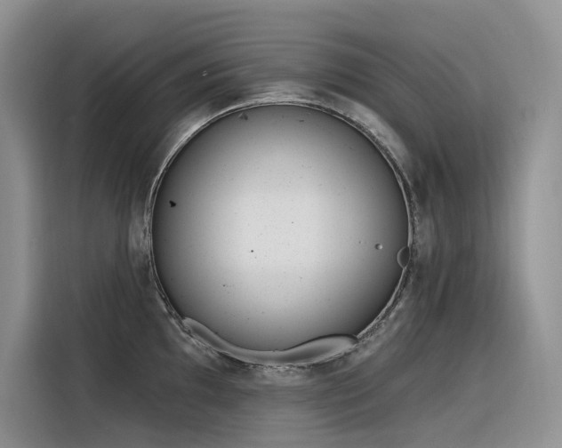 X0000116381097200912021515