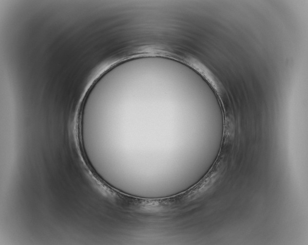 X0000116381098200912021514