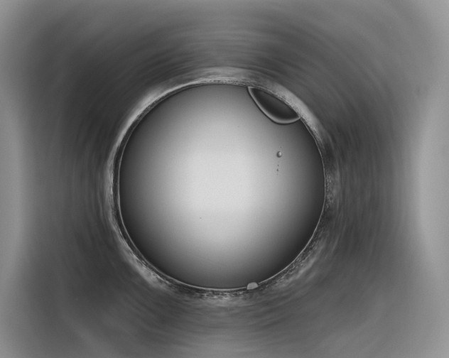 X0000116381099200912021514