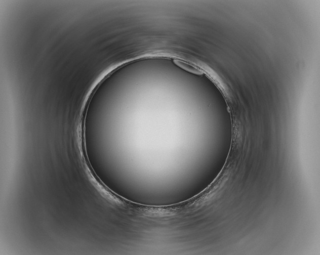 X0000116381100200912021514