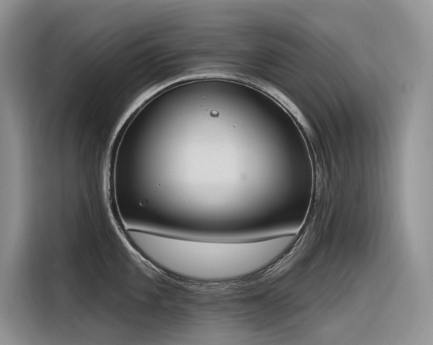 X0000116381101200912021514