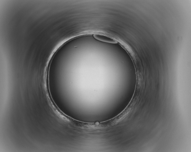 X0000116381102200912021514