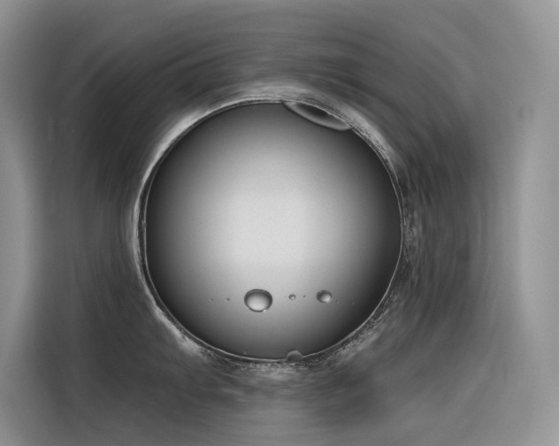 X0000116381103200912021514