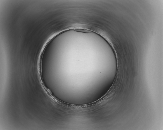 X0000116381104200912021514