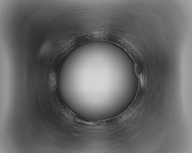 X0000116381107200912021514
