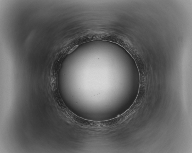 X0000116381109200912021514
