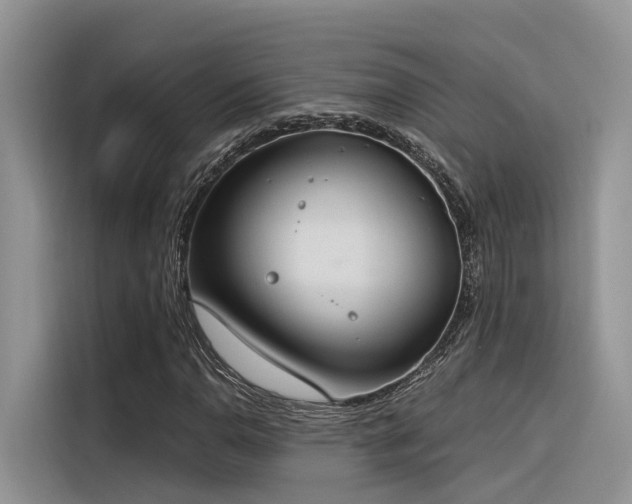 X0000116381110200912021514