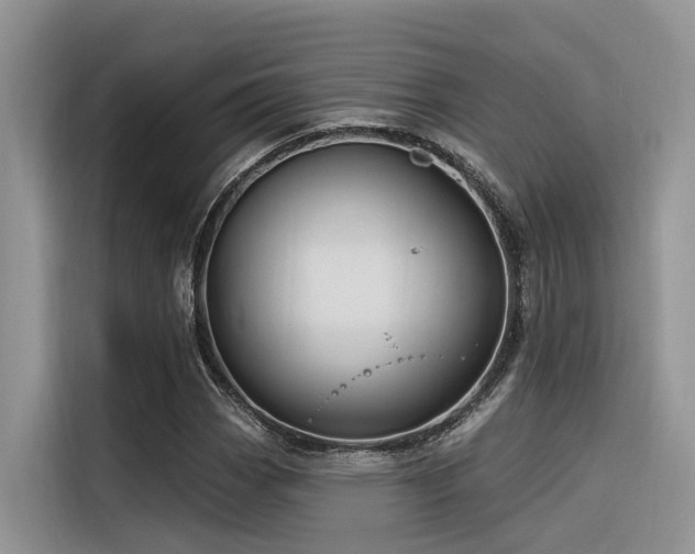 X0000116381113200912021514