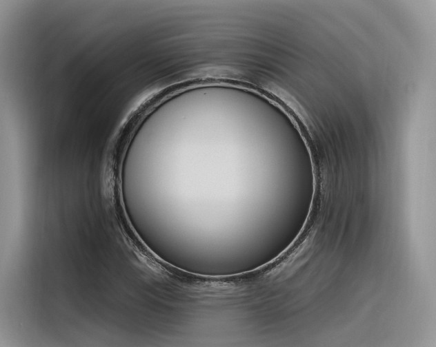 X0000116381115200912021514
