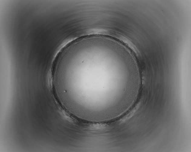 X0000116381117200912021514