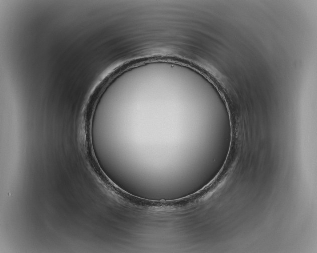 X0000116381118200912021514
