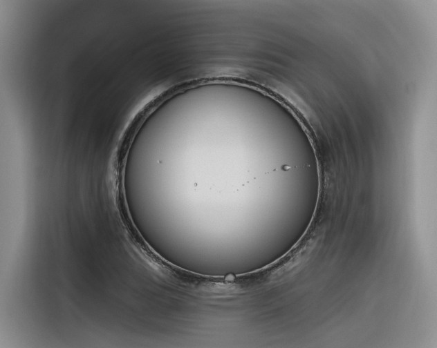 X0000116381119200912021514