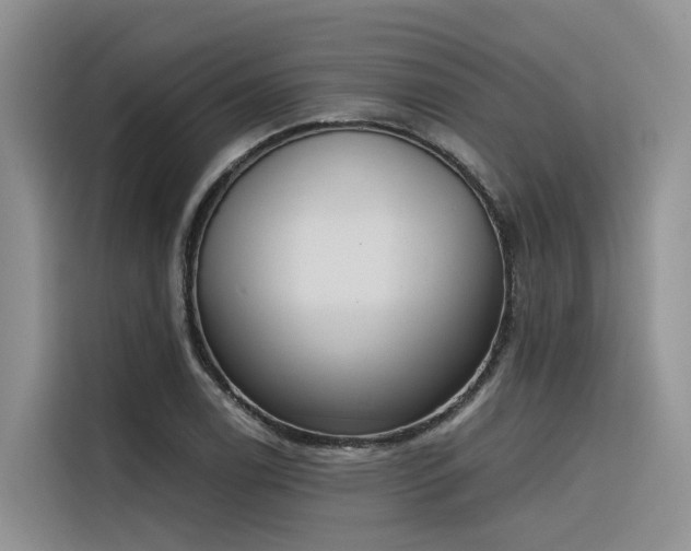 X0000116381122200912021514
