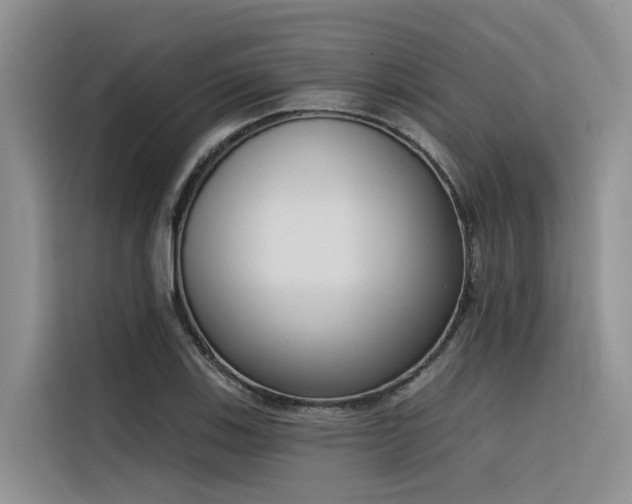 X0000116381123200912021514