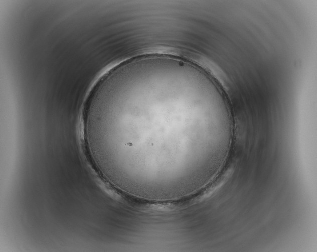 X0000116381125200912021514