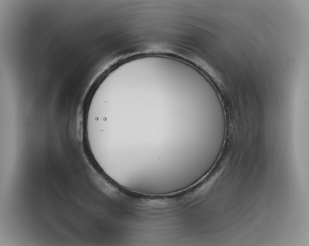 X0000116381126200912021514