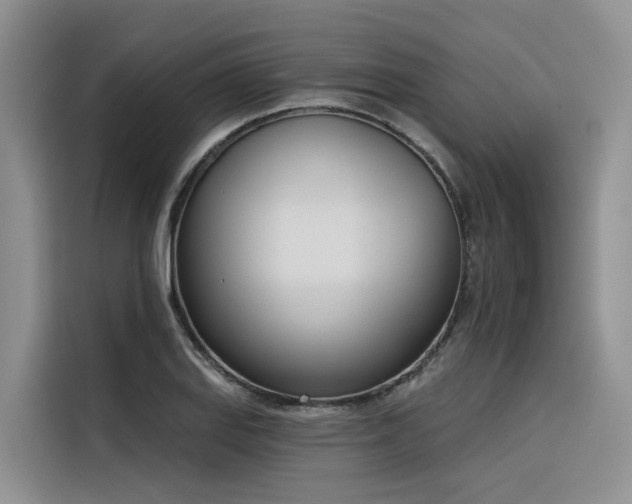 X0000116381127200912021514