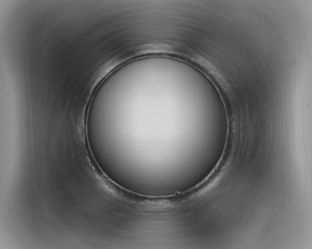 X0000116381129200912021514