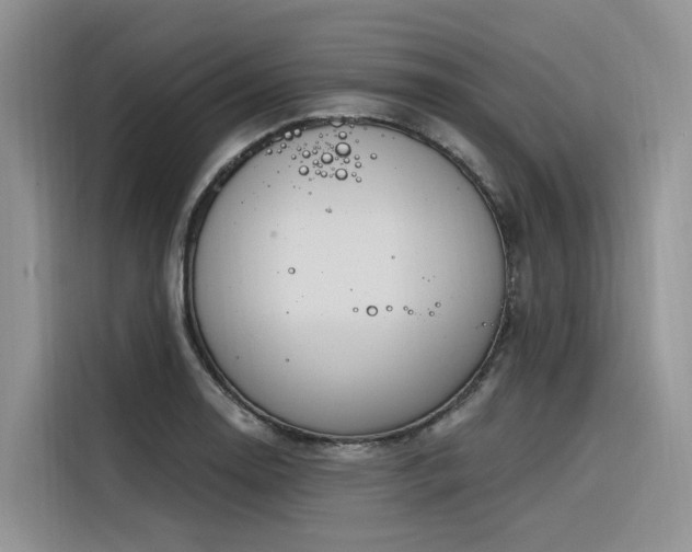 X0000116381130200912021514