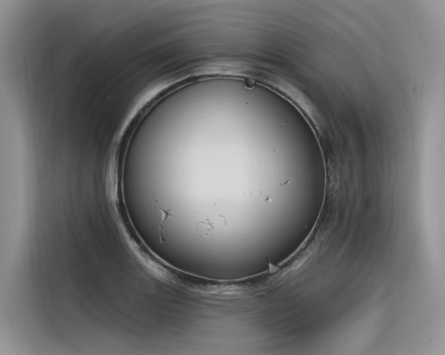 X0000116381131200912021514
