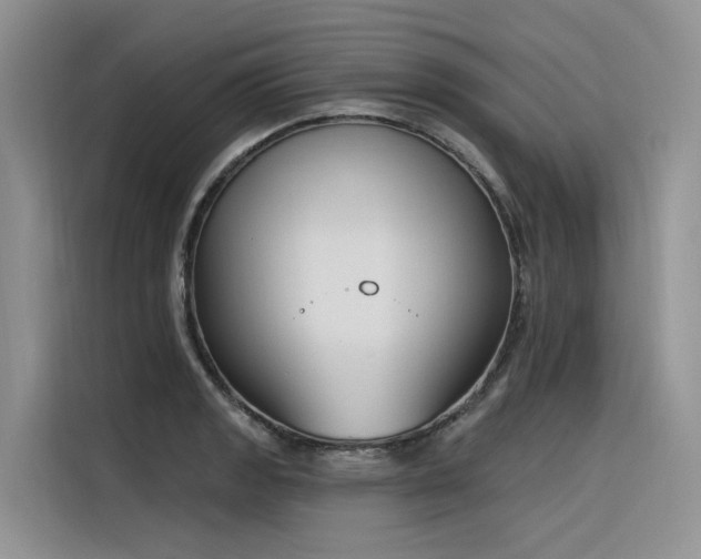 X0000116381133200912021514