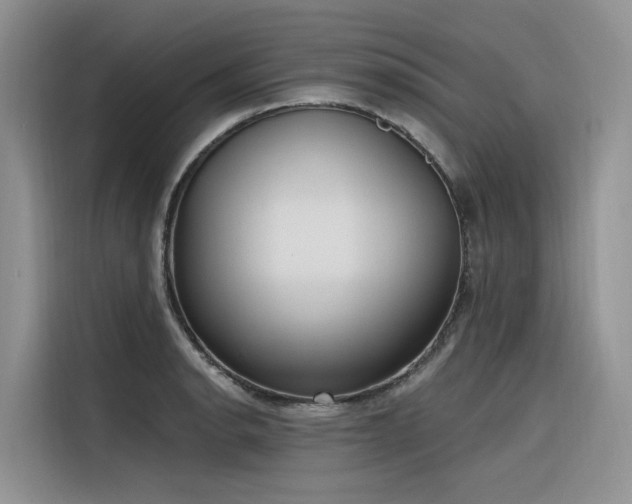 X0000116381134200912021514
