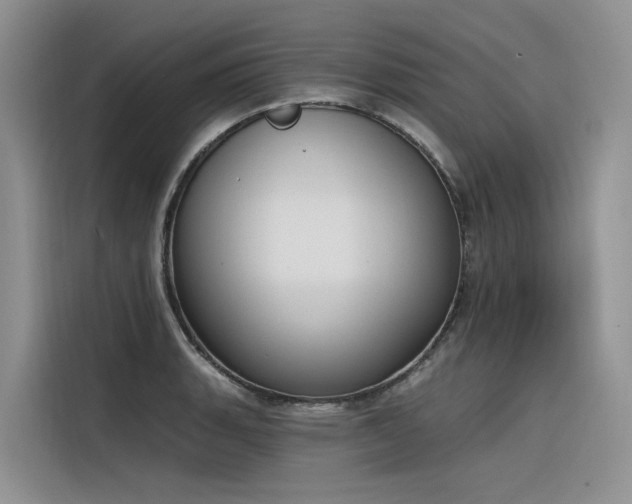 X0000116381135200912021514