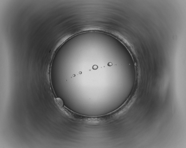 X0000116381137200912021514